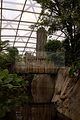 leipzig zoo-01_07_2011_gondwanaland_068